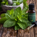 peppermint essential oil