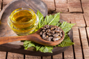 castor seed oil